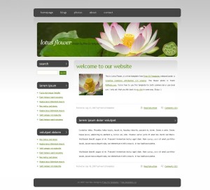 Белый дизайн сайта с серыми заголовками меню