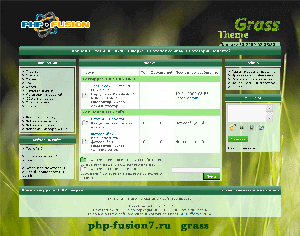 Салатный дизайн сайта с зелёными заголовками